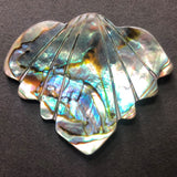 51X42MM Engraved Abalone Shell (3 pieces)