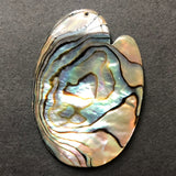 53X38MM Abalone Shell Drop (3 pieces)