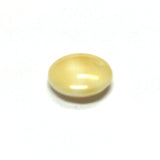 10MM Beige Glass Disc Drop (72 pieces)