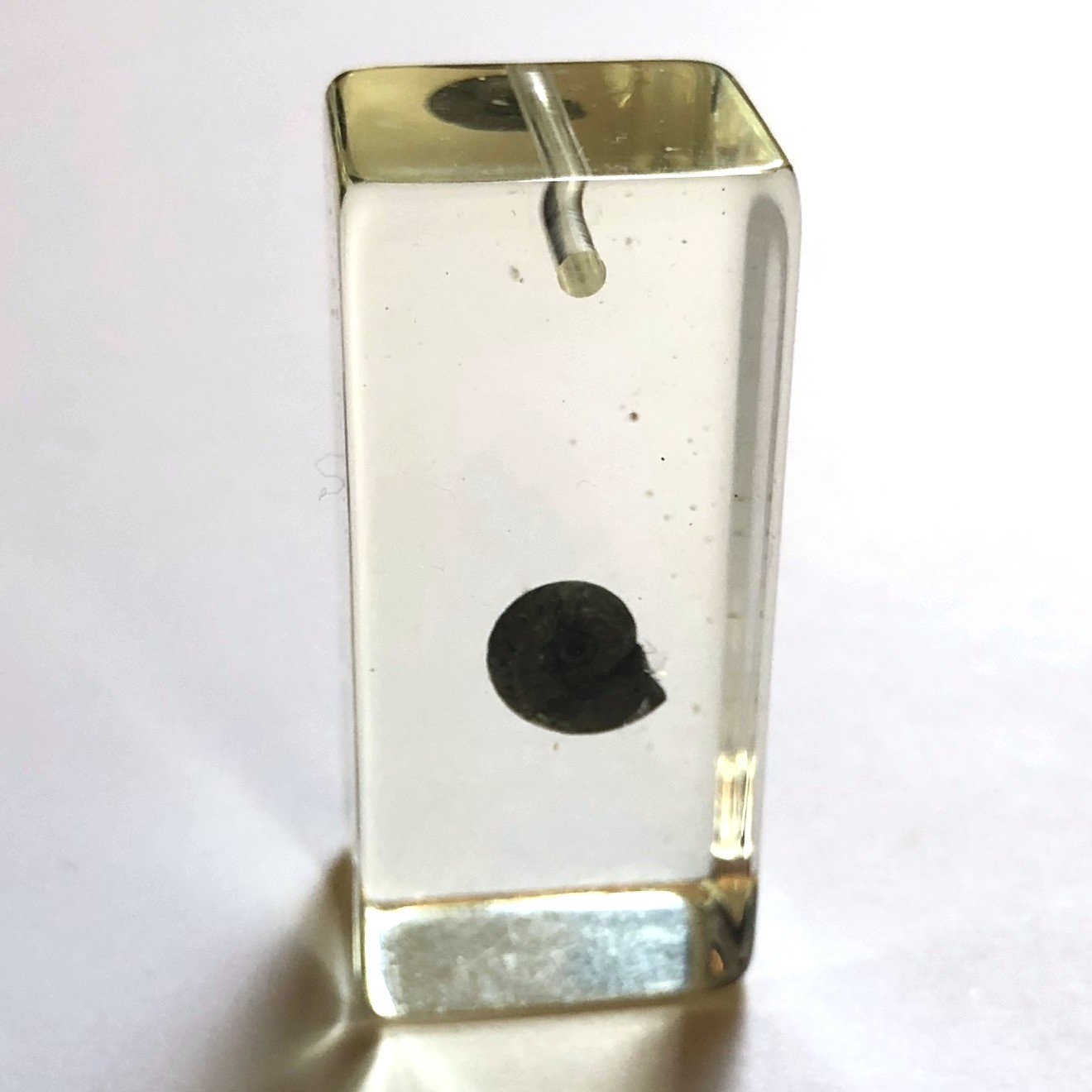 15X17X37MM Crystal Resin Snail Drop (1 pieces)